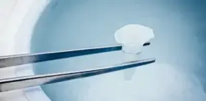 sperm donor