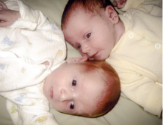 ivf twin babies