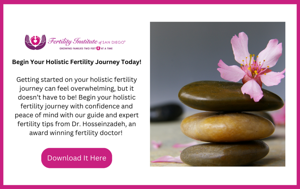 Holistic Fertility ebook